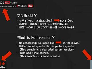 Watch uncensored Japanese hentai anime with handjob and blowjob scenes