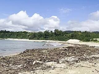 Cleaning the natural beach at Pacific Ocean with cute anime vibe