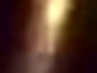 I’m thrilled watching two African amateur babes share my big white pole.