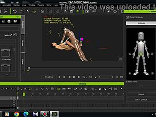 Anime verification video