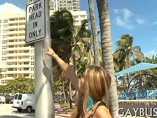 Sexy gay guys getting it on with wild energy!