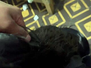 Sneaking into My Sister-in-Law’s Room for a Secret Oral Session Behind Her Husband’s Back