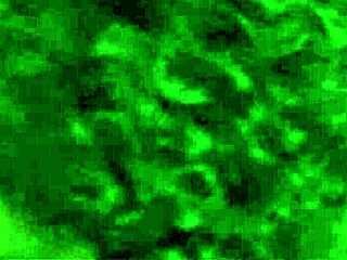 Brazilian pov blowjobs compilation with deepthroat