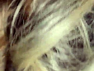 Latina Slut Deepthroats Massive Bbc With Fierce Intensity