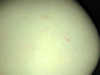 mexican milf secretary with fat ass rides neighbor's cock homemade as horny wet wife