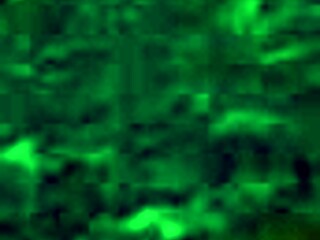 Exploring paradise trails in VR part 2