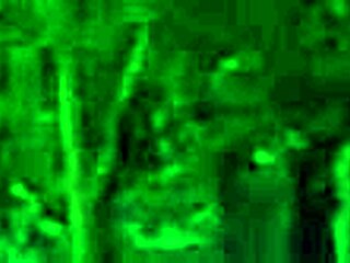 Exploring paradise trails in VR part 2