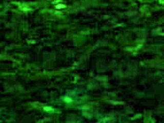 Exploring paradise trails in VR part 2