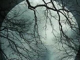 Hey check this amateur group with tattooed mature nerd housewife banging blonde milf tits 😏