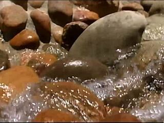 lena rides cock outside then gets facial cumshot?