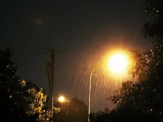 Let's drink at my house for an erotic adventure