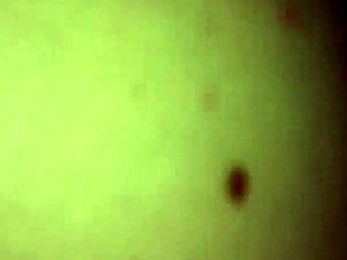 Roommate in Dorm Gets Unexpected Surprise