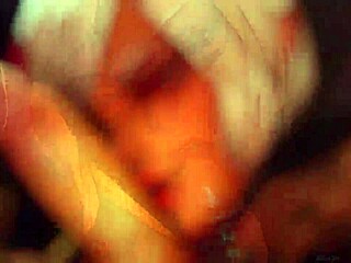 Another Round Of Studiofow Tribute Pmv