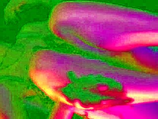 Admirer Expresses Desire For Bia Roman And Sam Quinn's Feet