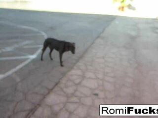 Romi Rain and Dani tease in lesbian black-light fun?