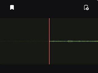Spying on argentine neighbor audio part 2