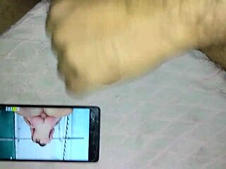 indian cock shown in close detail