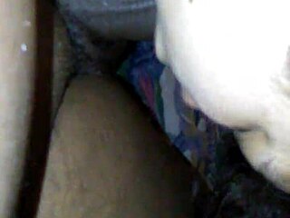 Latina BBW Cheats by Sucking Dick!