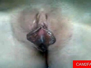 Sexy Webcam Amateur Gives Blowjob Before Intense Anal Assfucking Action