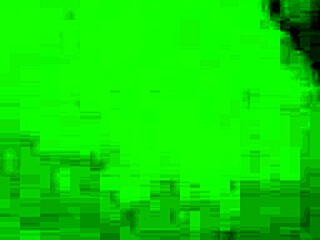 Hey that tight wet hairy bbw has a big booty shaking