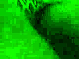 Hey that tight wet hairy bbw has a big booty shaking