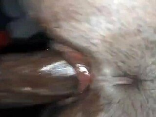 Stepmom And My Step Son Get Intimate Again In Softcore Fun