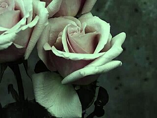 Mcr - I Dont Love You Sub Español