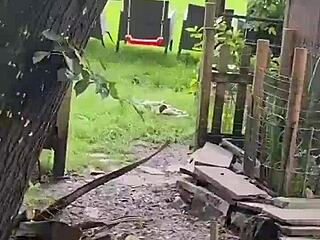 Chicken Feeding Station with Cool Tattoos and Inked Girls