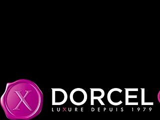 what's this trailer about? revenge of a softcore story