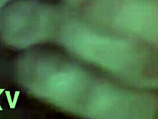 steph giving head in casual blowjob