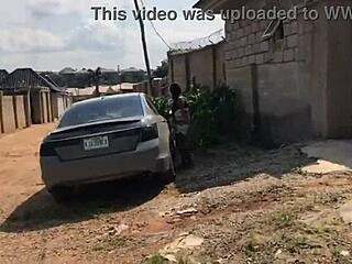 the cheap sloth i picked from the road was offered to my homie to handle