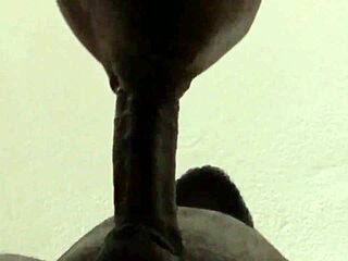 Han sprutet og jeg sugde videre... stor sædladning i hårete eksotisk POV!