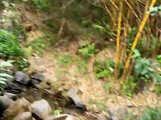 Stranger Wants Forest Sex