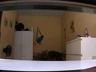 homemade interracial encounter between black and amateur partners