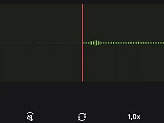 i recorded this increible audio of my vecina. parte 1 with spying
