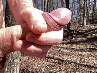 Clitlicker662 opdatering 34 billede 1341 2. marts 2025