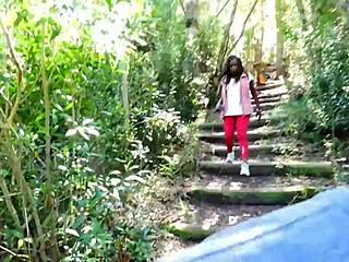 Leksittään kaikki siemenet sokeridadin kyrvästä salaisella rannalla!