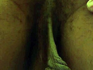 Worship Hallelujah Johnson's Ass