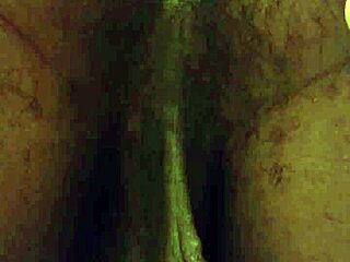 Worship Hallelujah Johnson's Ass