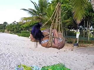 Shibari Master Episode 2 Brunette In Coconut Tree