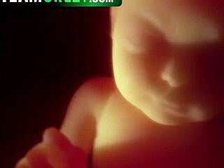 Watch these sluts ride for the team