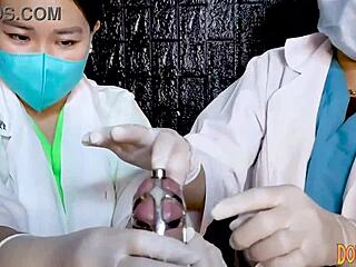 What if we dominate with strapons and femdom action in this European German and Asian shemale compilation by Dominafire and Mizzired?