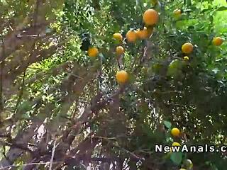 omg busty latina takes that huge cock deep in her ass right in the backyard 😈