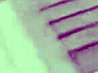 off the deepend miami latina angelina discovers a massive surprise in the pool