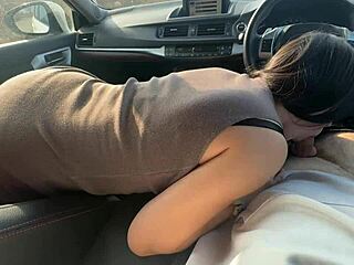 why does student give blowjob in car on first date?