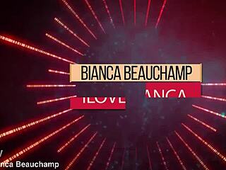 Expert in a single specialized skill set.