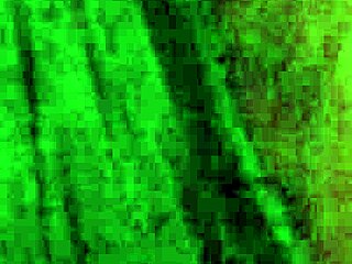 we're doing a naked photo shoot with this curvy beautiful amateur girl