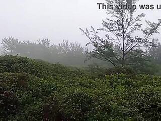 This Brazilian amateur couple gets wild on the outdoor trail with monster cock pounding and cum on her face