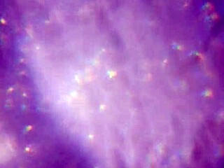 Bold Release of More Cum to Reach and Impregnate You