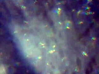 Bold Release of More Cum to Reach and Impregnate You